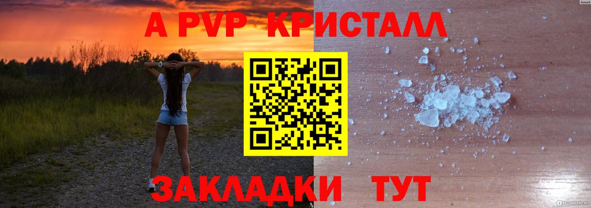 APVP СК Новодвинск