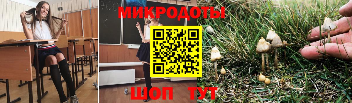 Псилоцибиновые грибы GOLDEN TEACHER Новодвинск