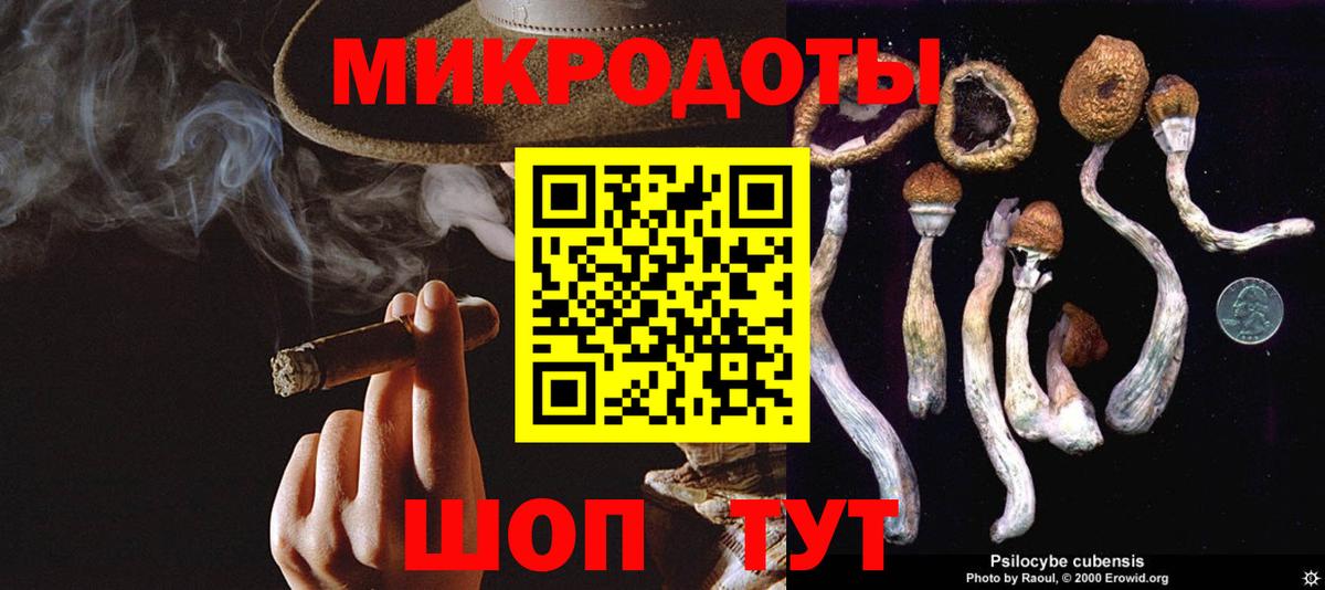 Псилоцибиновые грибы мицелий  Вход с VPN  Псилоцибиновые грибы Cubensis  Новодвинск 